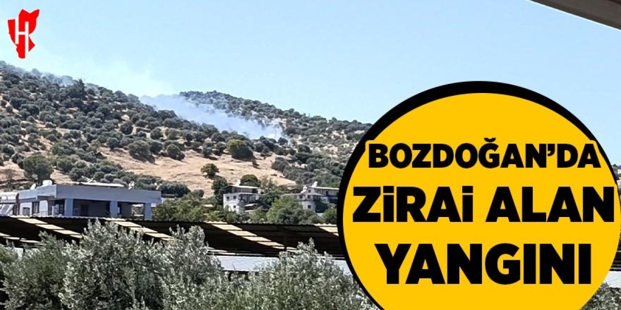 Bozdoğan'da zirai alan yangını