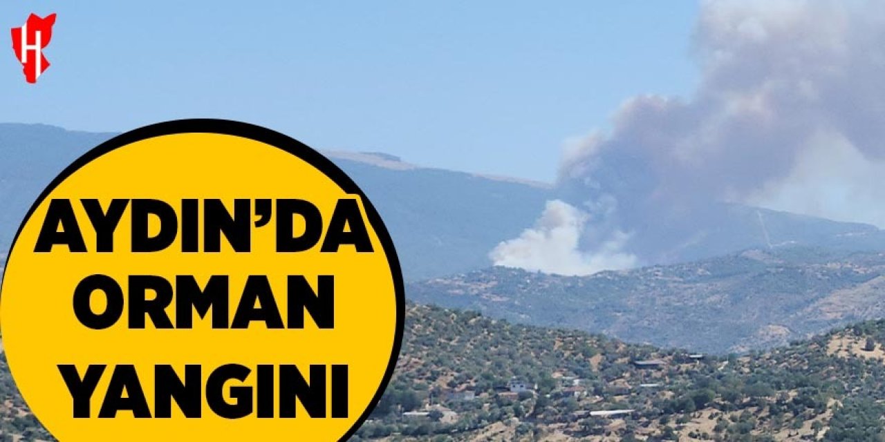 Aydın'da orman yangını
