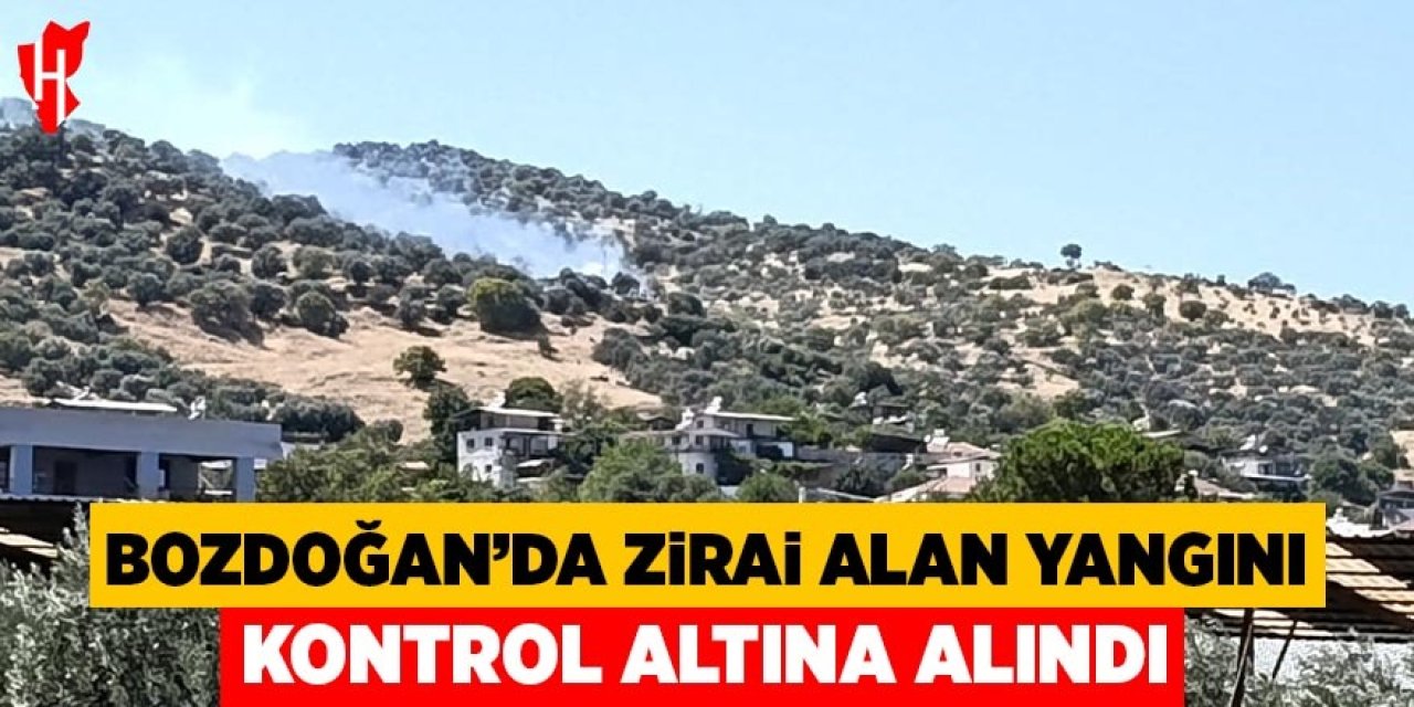 Bozdoğan'daki zirai alan yangını kontrol altına alındı