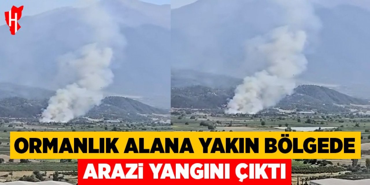 Ormanlık alana yakın bölgede arazi yangını çıktı