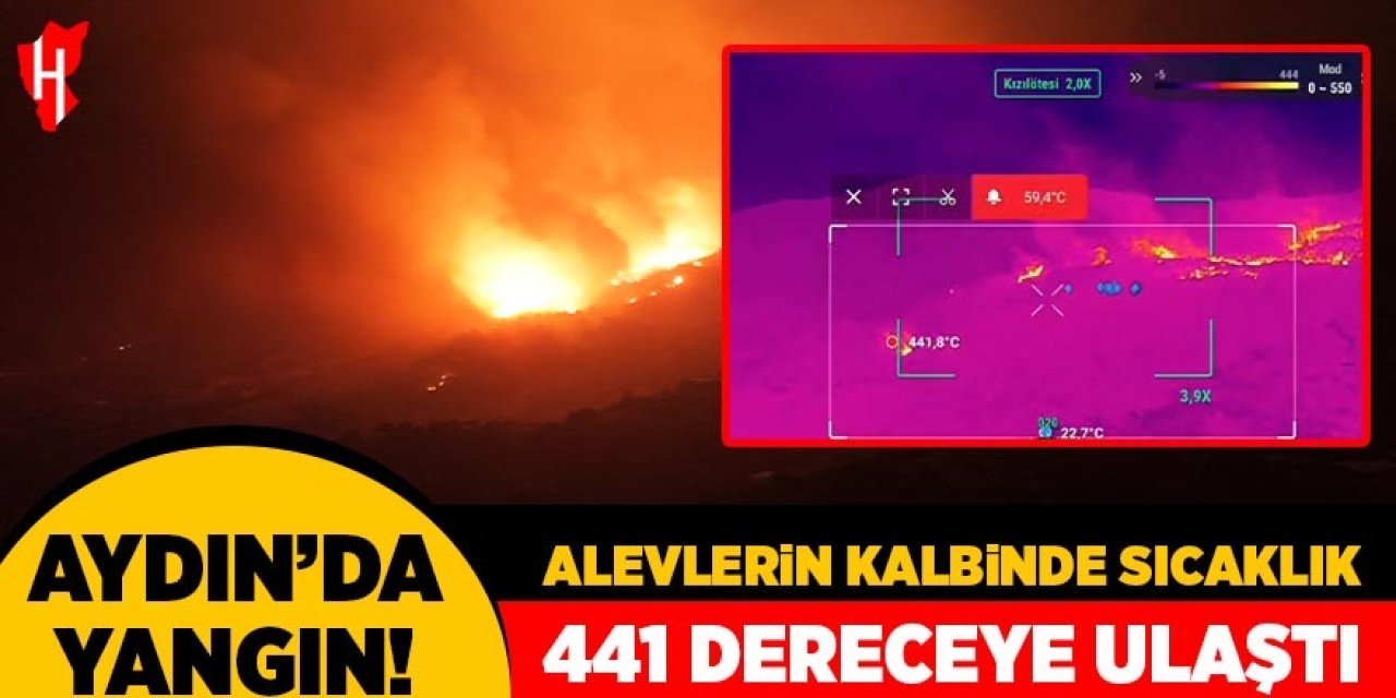 Aydın'da alevlerin kalbinde sıcaklık 441 dereceye ulaştı