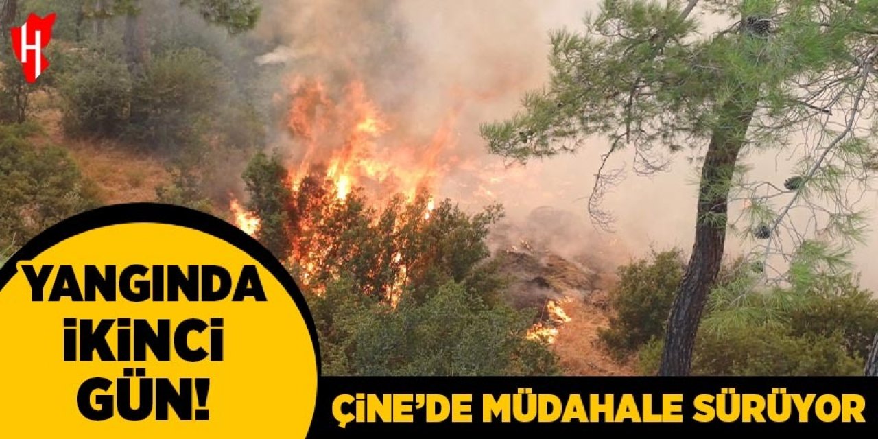 Çine yangınına müdahale ikinci günde sürüyor