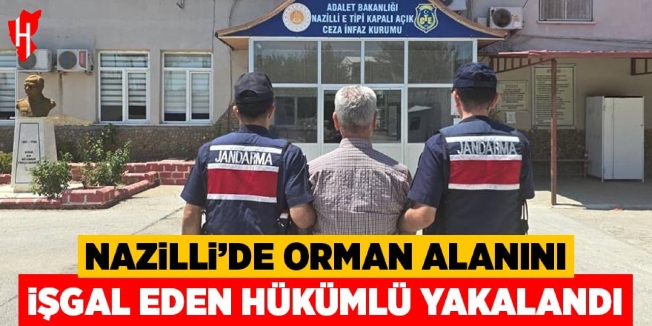 Nazilli'de orman alanını işgal eden hükümlü yakalandı