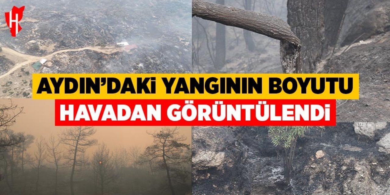 Aydın'daki yangının boyutu havadan görüntülendi