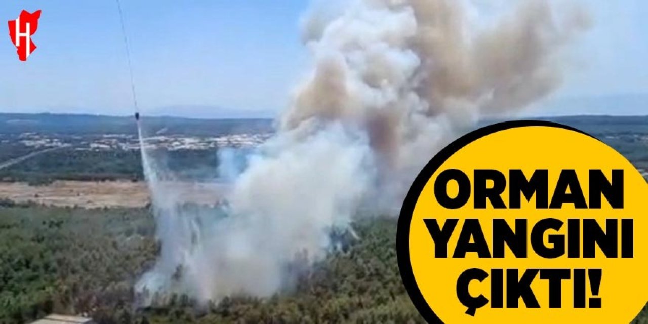 Orman yangını çıktı