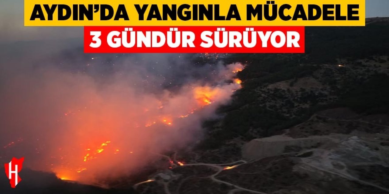 Aydın'da yangınla mücadele 3 gündür sürüyor