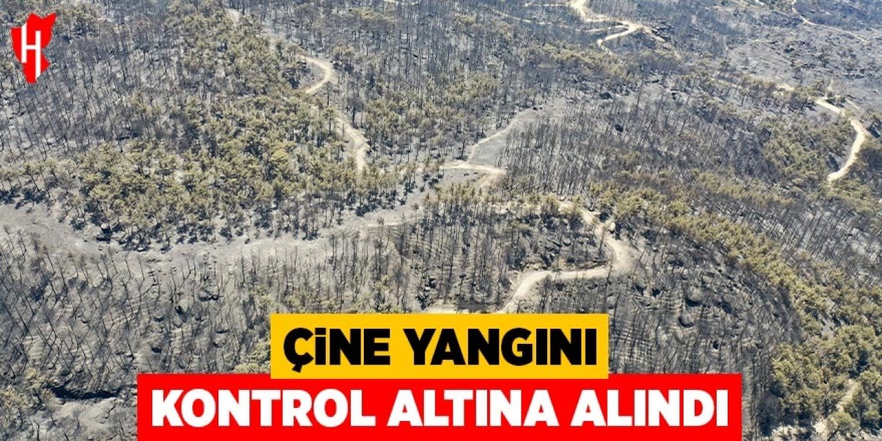 Çine yangını kontrol altına alındı