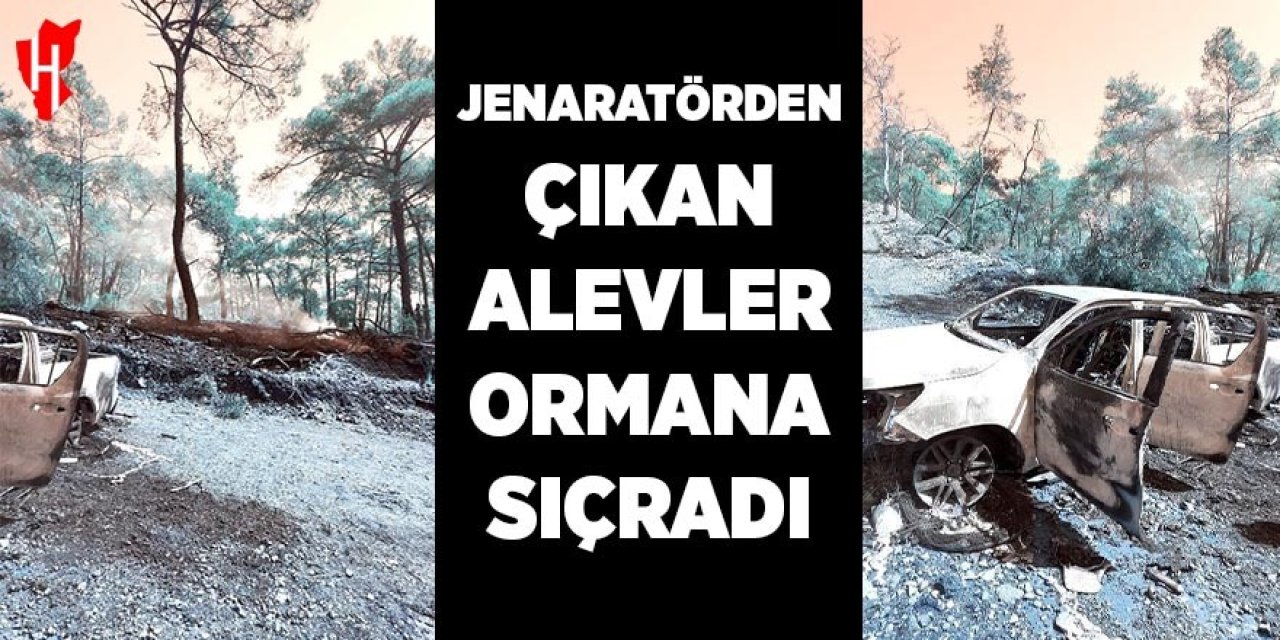 Jeneratörden çıkan alevler ormana sıçradı