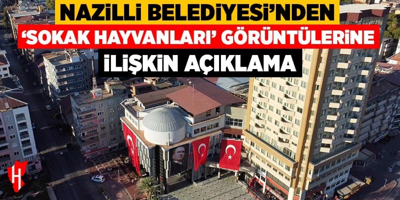 Nazilli Belediyesi'nden sokak hayvanları görüntülerine ilişkin açıklama