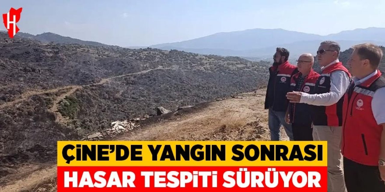 Çine'de yangın sonrası hasar tespit çalışmaları sürüyor