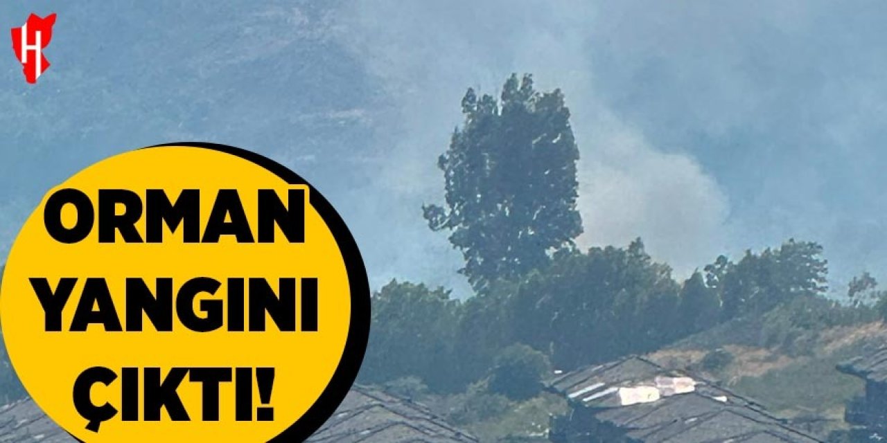 Orman yangını çıktı