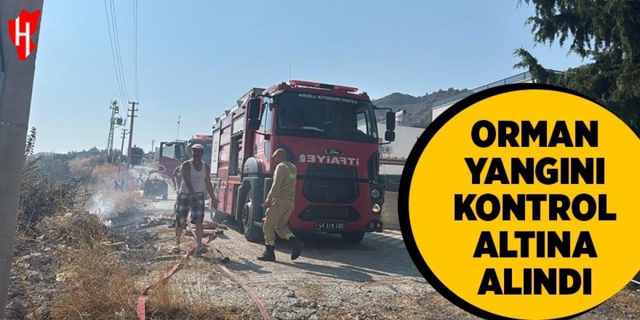 Orman yangını kontrol altına alındı