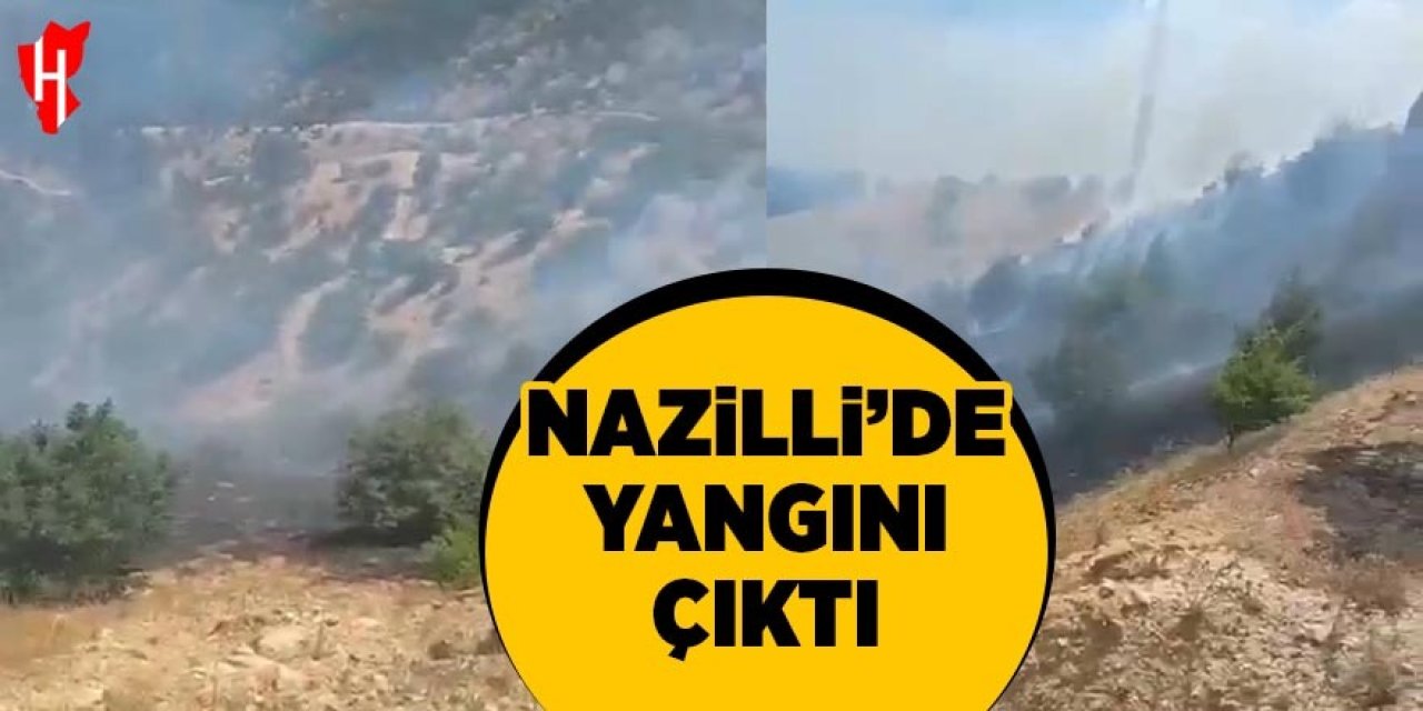 Nazilli'de yangın çıktı