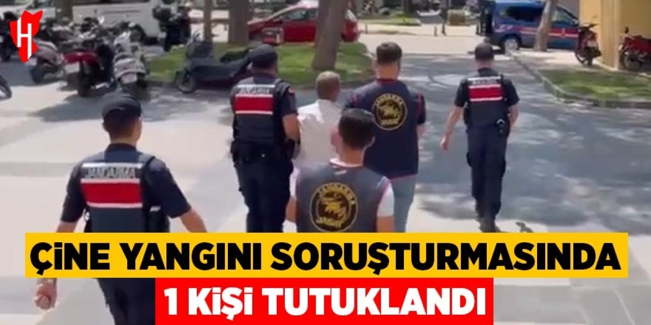 Çine'deki orman yangını soruşturmasında 1 tutuklama