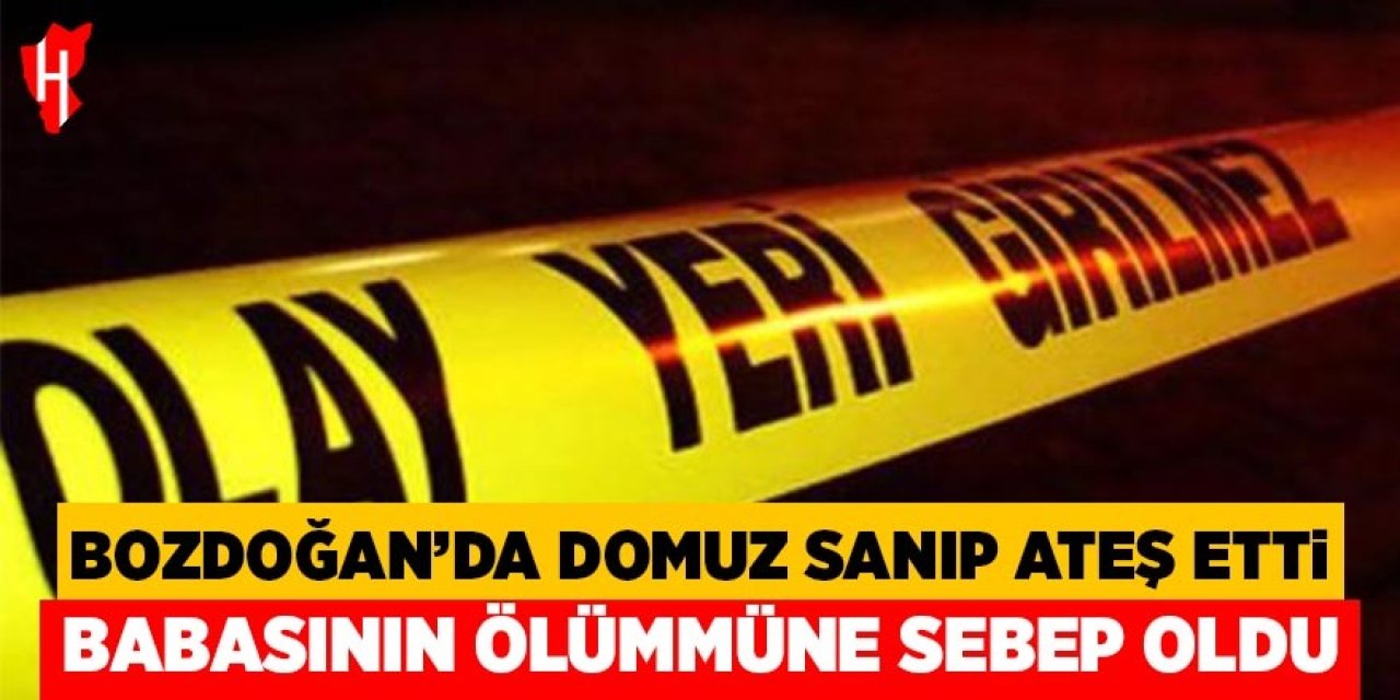 Bozdoğan'da domuz sanıp ateş etti, babasının ölümüne neden oldu