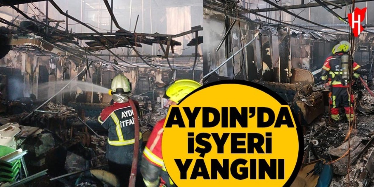 Aydın'da işyeri yangını