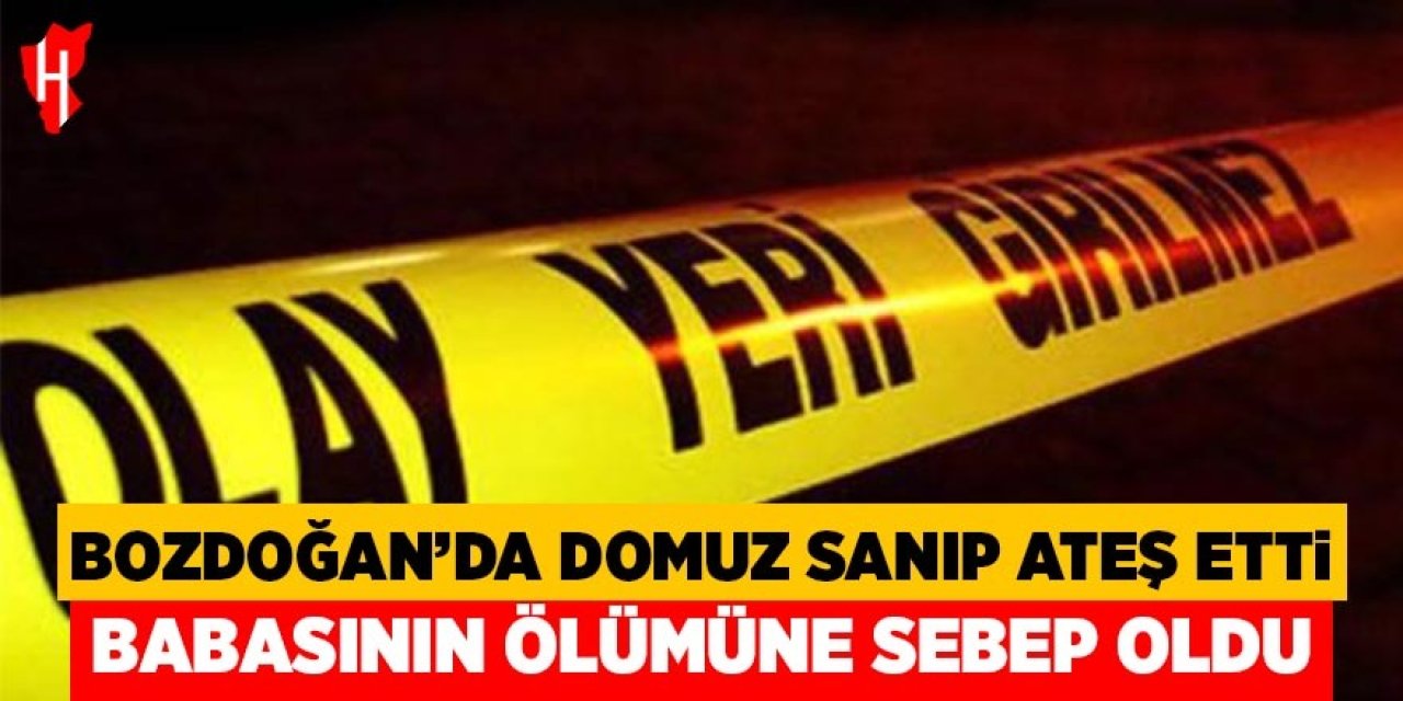 Bozdoğan'da domuz sanıp ateş etti, babasının ölümüne neden oldu