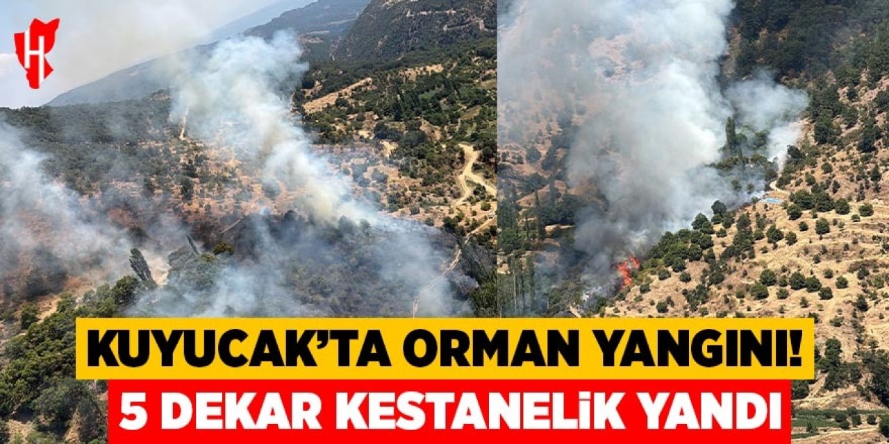 Kuyucak'ta orman yangını