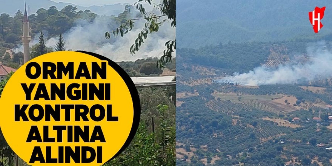 Orman yangını kontrol altına alındı