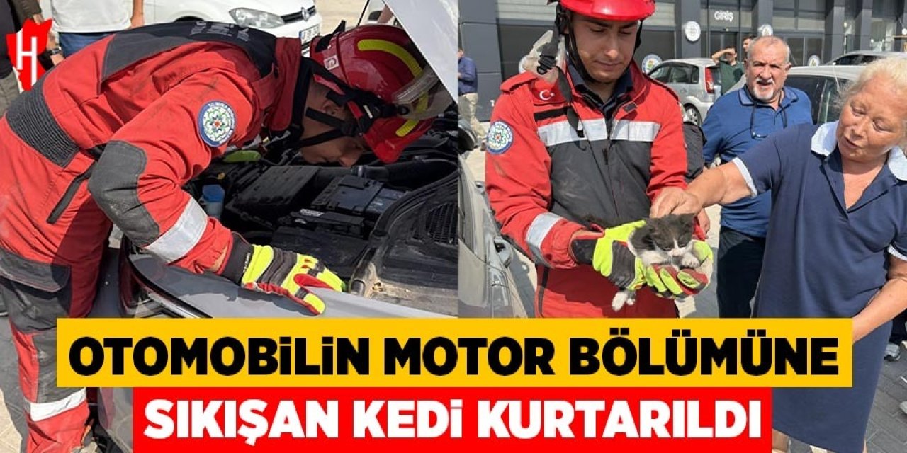 Otomobilin motor bölümüne sıkışan kedi kurtarıldı