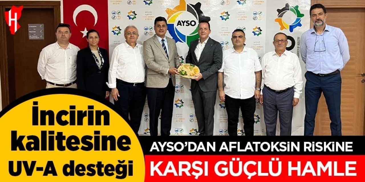 AYSO’dan aflatoksin riskine karşı güçlü hamle