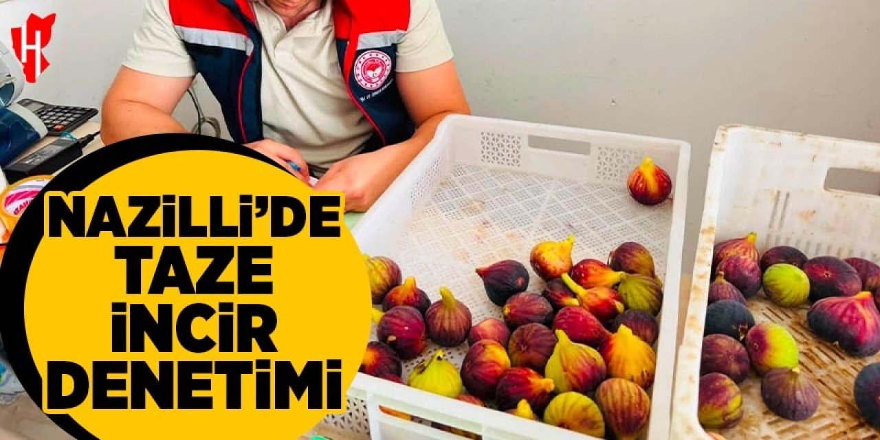 Nazilli’de taze incir denetimi