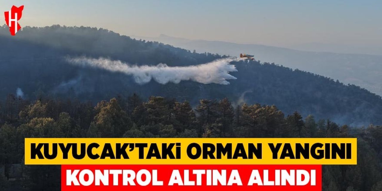 Kuyucak'taki orman yangını kontrol altına alındı