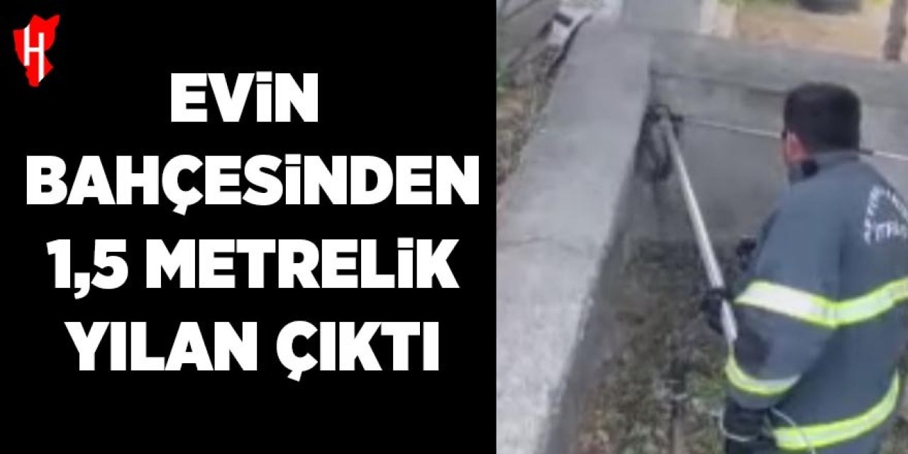 Evin bahçesinden 1,5 metrelik yılan çıktı