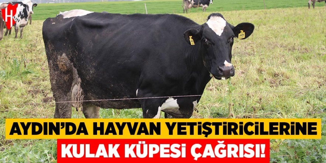 Aydın'da hayvan yetiştiricilerine ‘kulak küpesi' çağrısı