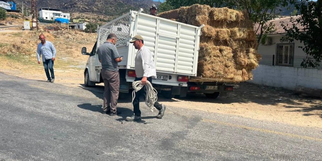 Helal olsun size! Yenipazarlı çiftçilerden yangın bölgesine yem desteği