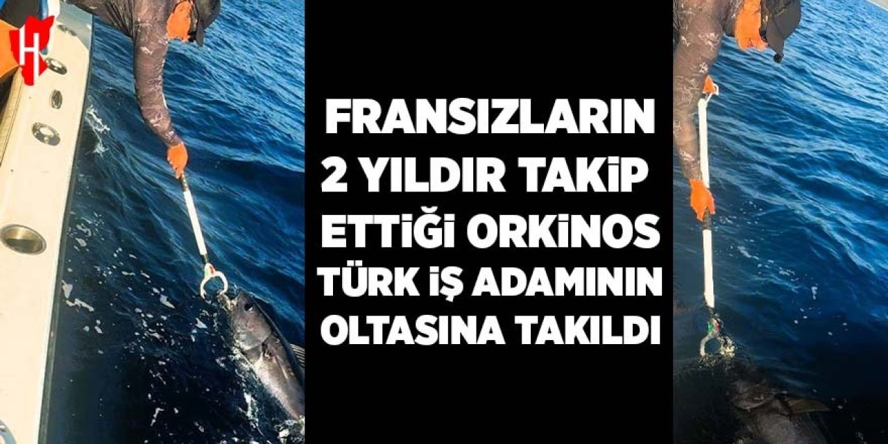 Fransızların 2 yıldır takip etiği orkinos Türk iş adamının oltasına takıldı