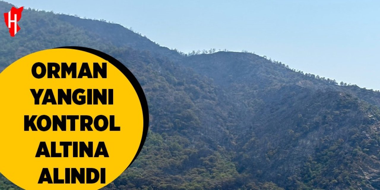 Orman yangını kontrol altına alındı