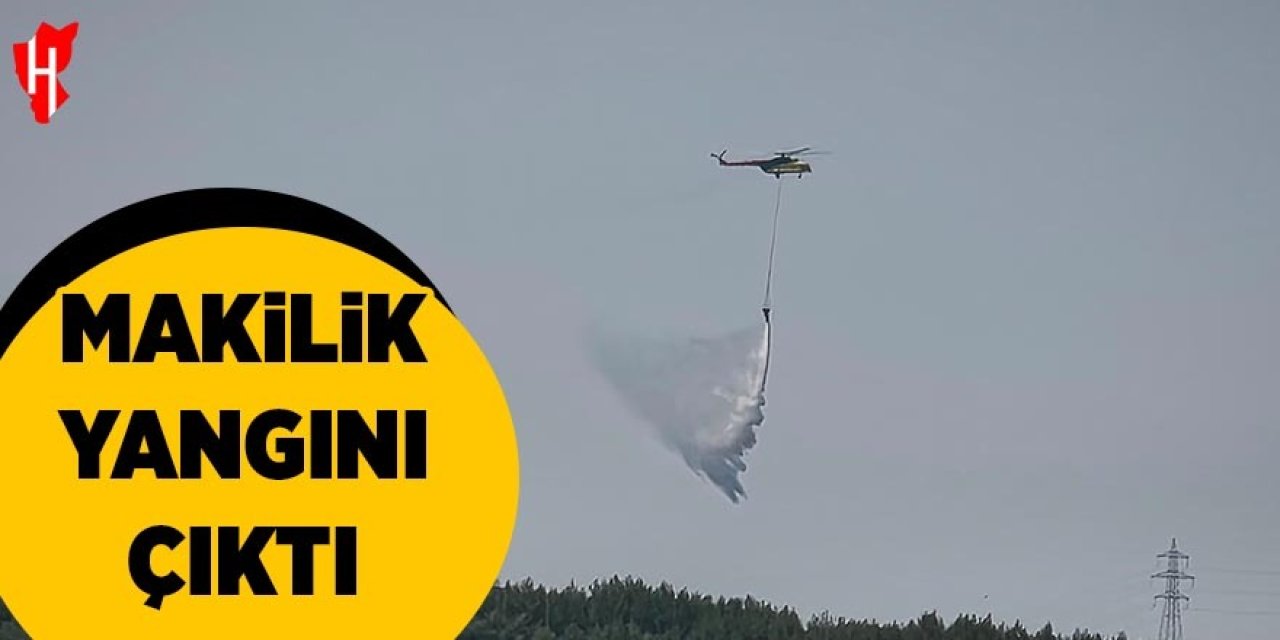 Makilik yangını çıktı