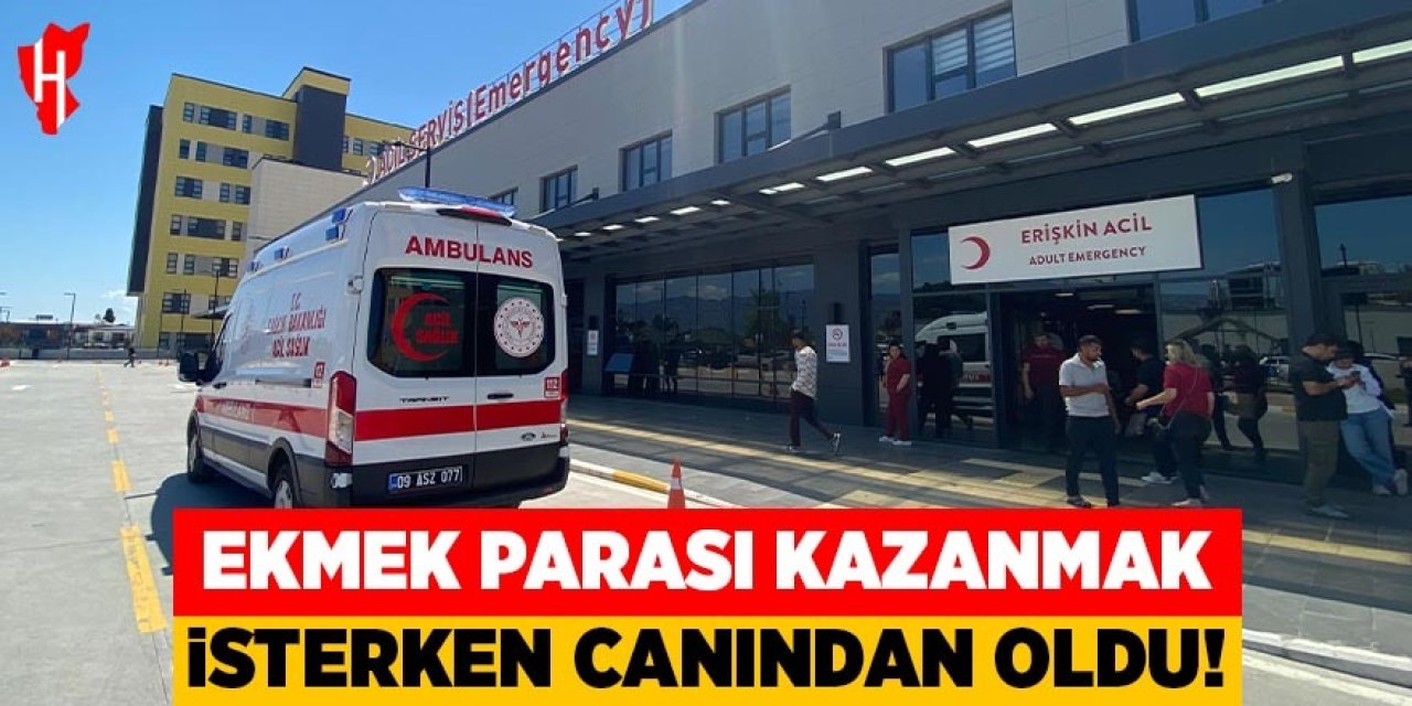 Aydın'da ekmek parası kazanmak isterken canından oldu