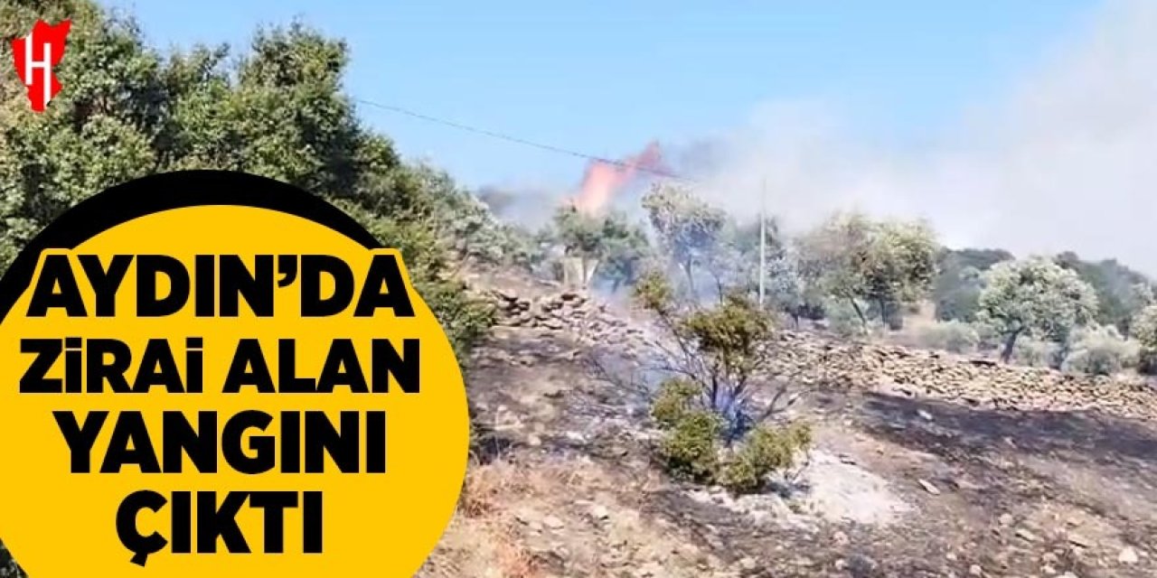 Çine'de zirai alanda yangın