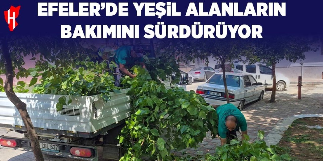 Efeler'de yeşil alanların bakımı sürüyor
