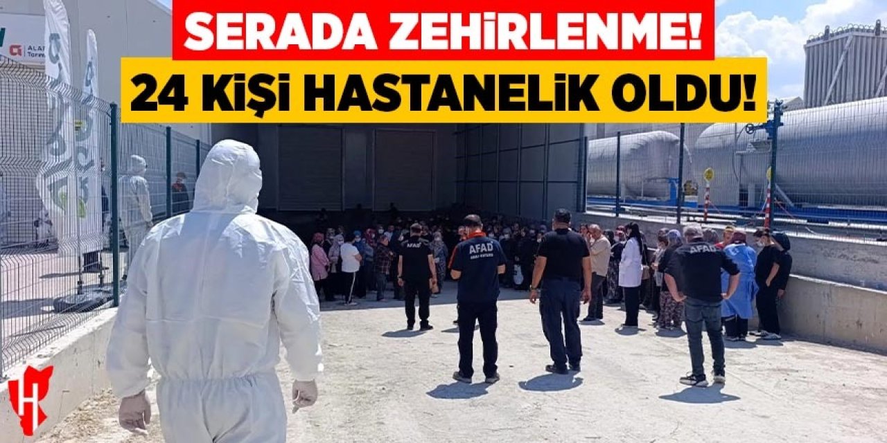 Serada zehirlenme! 24 kişi hastanelik oldu