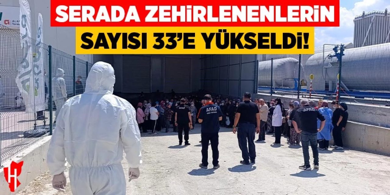 Domates serasında zehirlenenlerin sayısı 33'e yükseldi