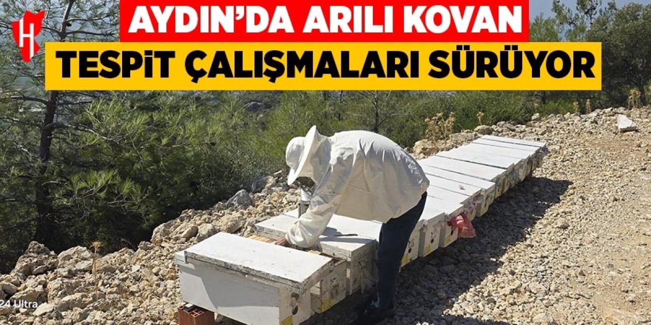 Aydın'da arılı kovan tespit çalışmaları sürüyor