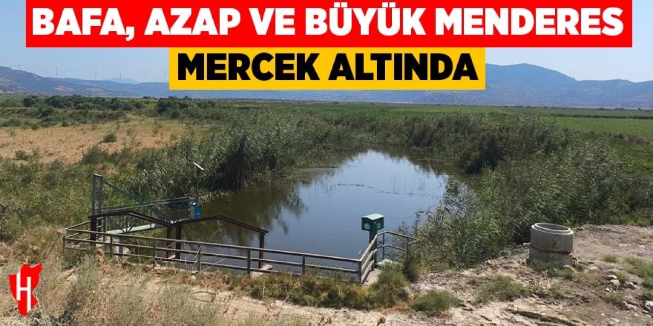 Bafa, Azap ve Büyük Menderes mercek altında