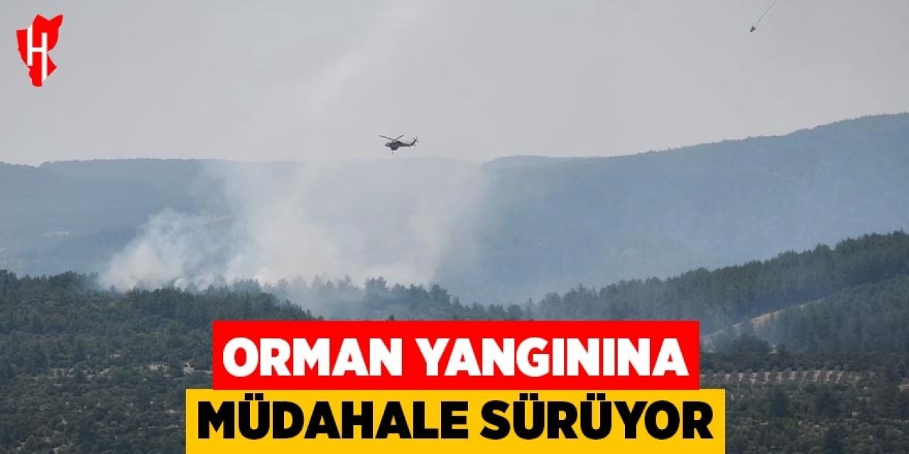 Orman yangınına müdahale sürüyor