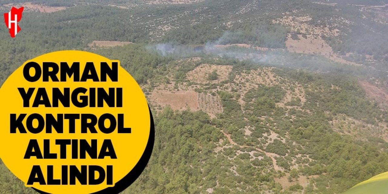 Orman yangını kontrol altına alındı