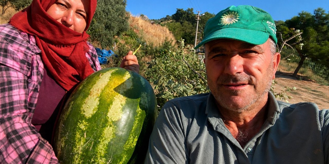 Aydın'da 550 rakımda karpuz ve balkabağı yetiştiriyorlar