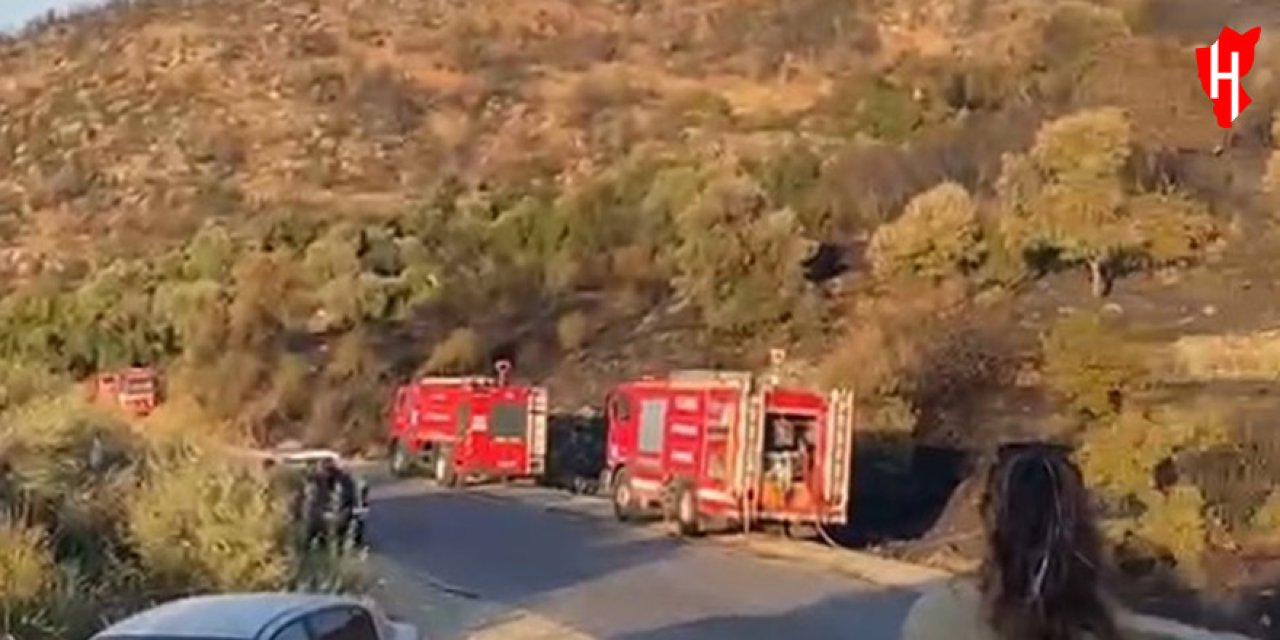 Korkutan orman yangını kontrol altına alındı