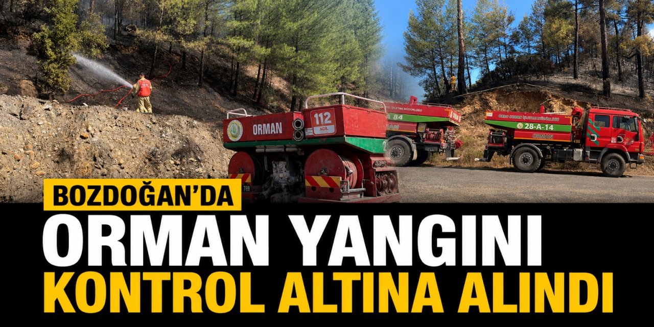 Bozdoğan'da orman yangını kontrol altına alındı