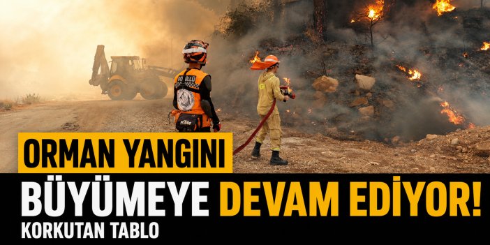 Orman yangını büyümeye devam ediyor!