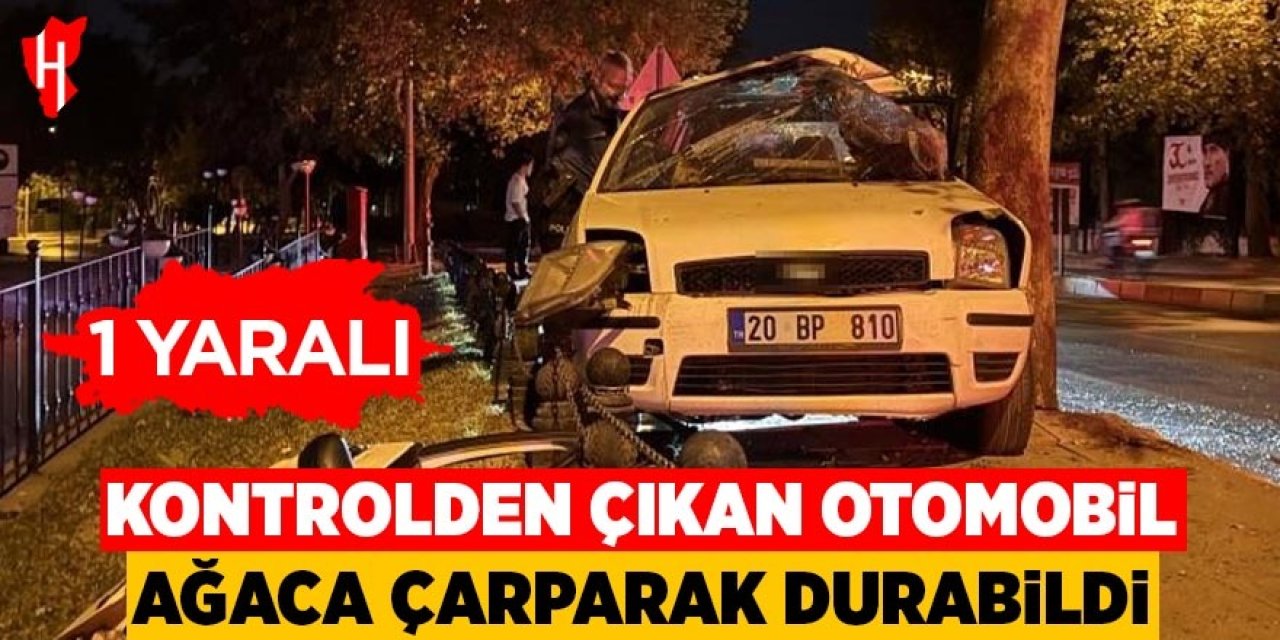 Kontrolden çıkan otomobil ağaca çarparak durabildi: 1 yaralı