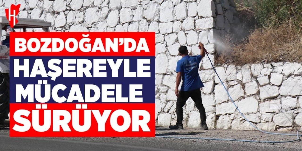 Bozdoğan’da haşereyle mücadele sürüyor