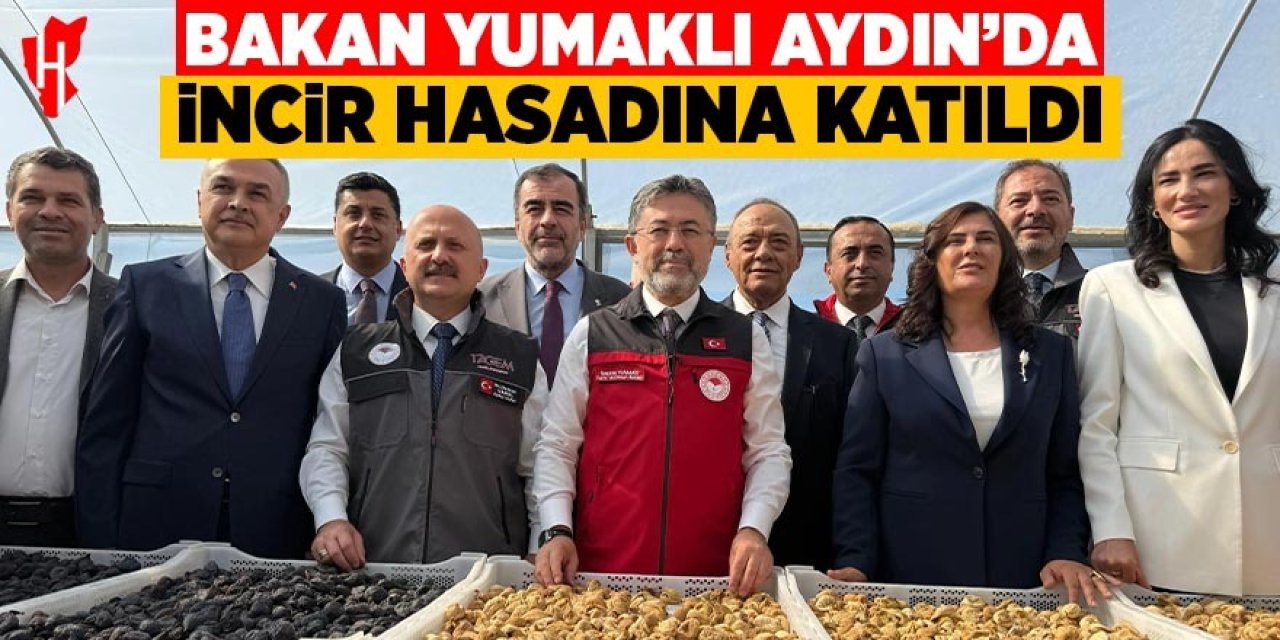 Bakan Yumaklı Aydın'da incir hasadına katıldı