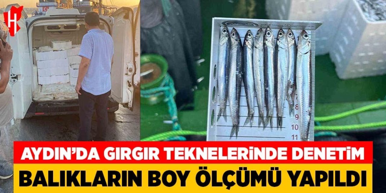 Aydın'da gırgır teknelerinde balık boyu denetimi